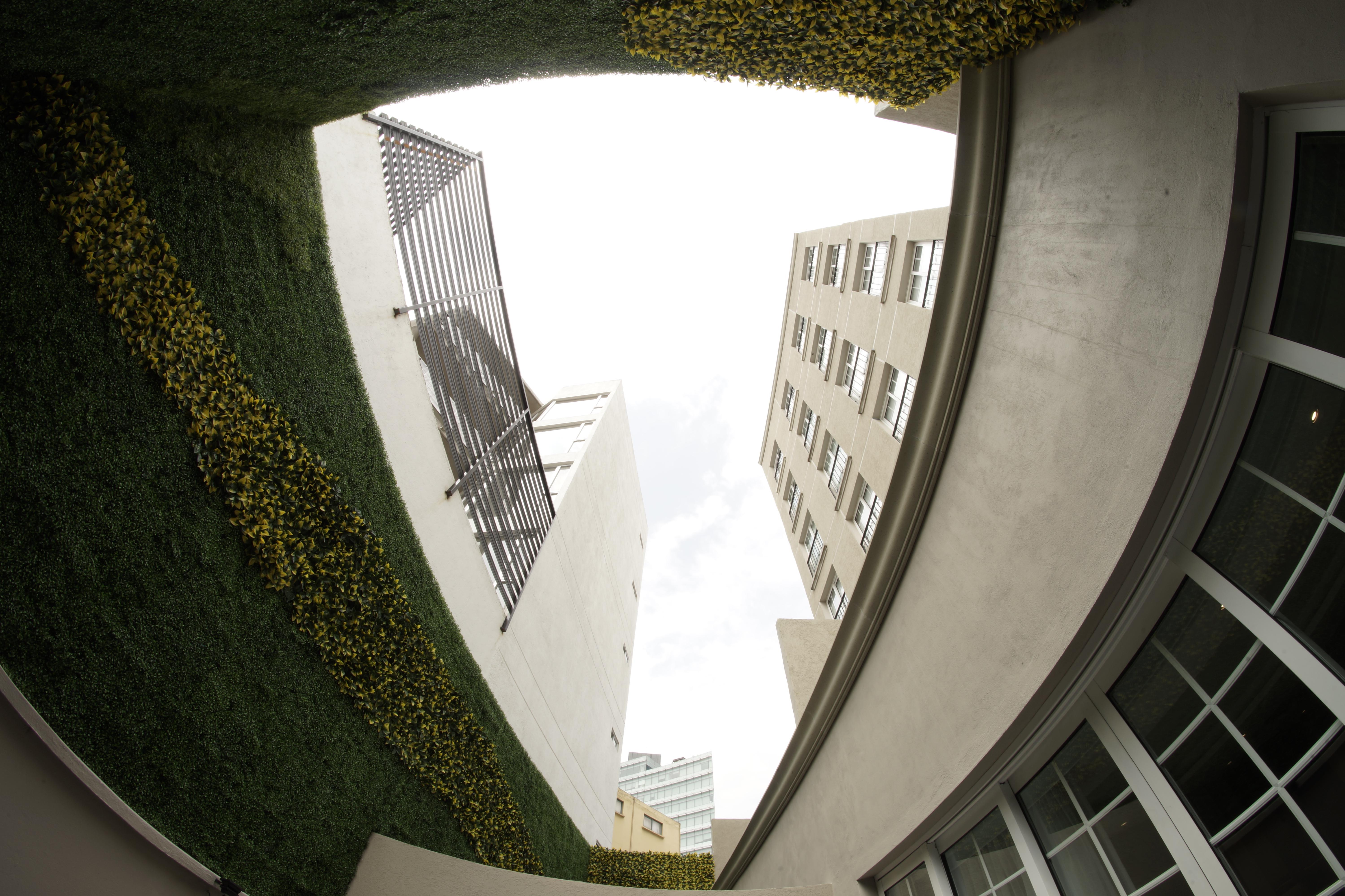 Isaaya Hotel Boutique By Wtc Мехико Экстерьер фото